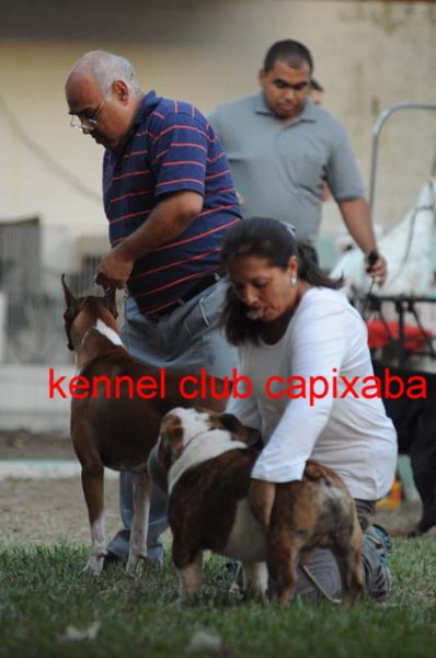 Clique sobre a foto para fechar